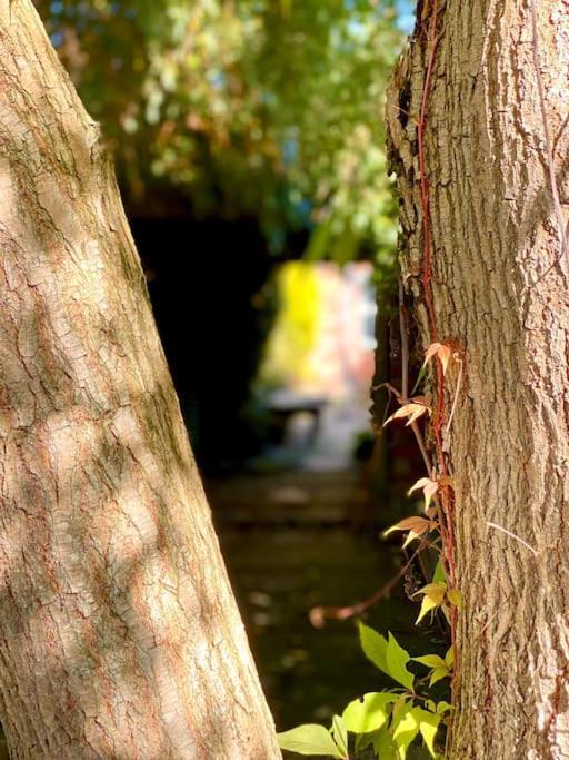 The Secret Garden House Burton (Lincolnshire)